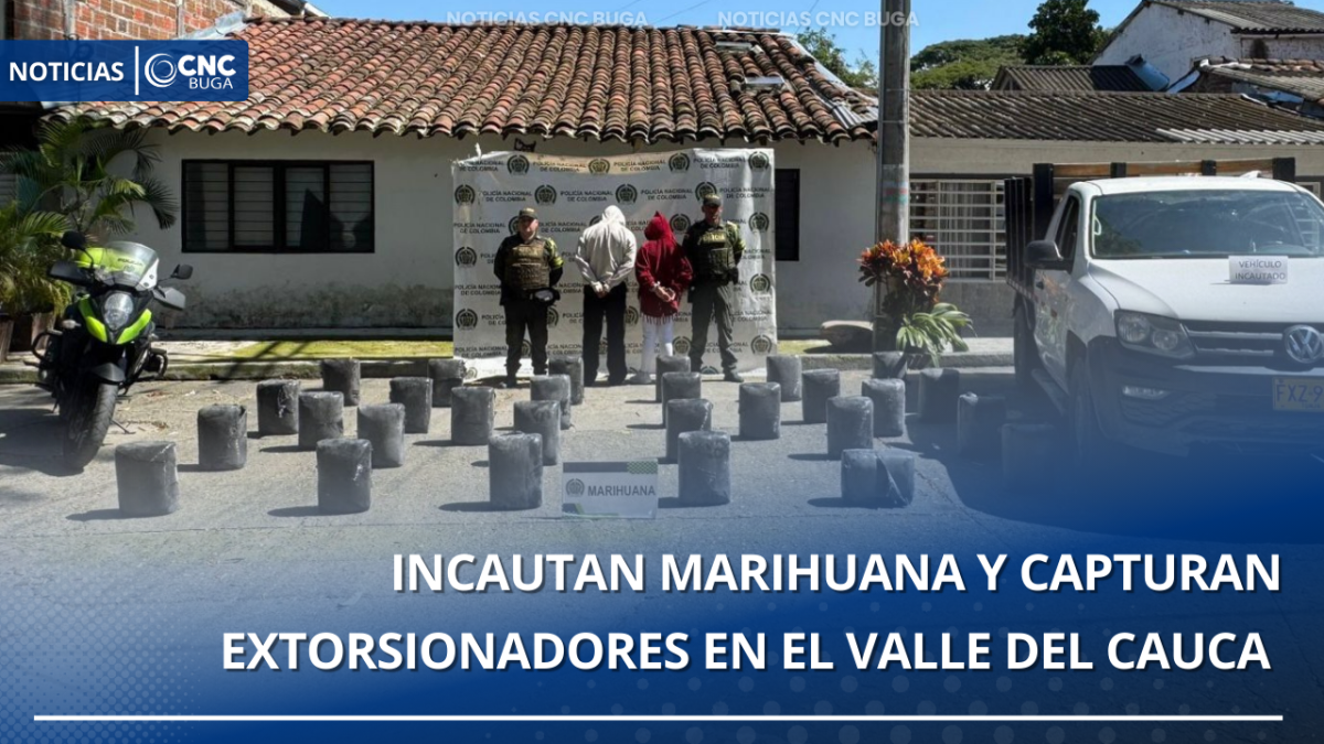 Incautan marihuana y capturan extorsionadores en el Valle del Cauca