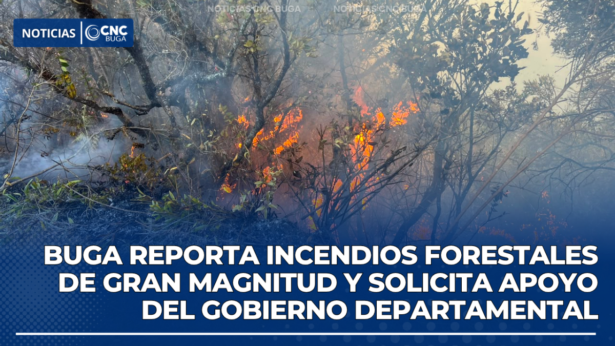 Buga reporta incendios forestales de gran magnitud y solicita apoyo del Gobierno departamental